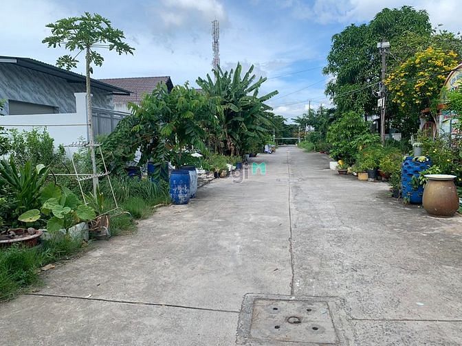 4259903 ảnh đại diện 1