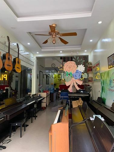 4258871 ảnh đại diện 1