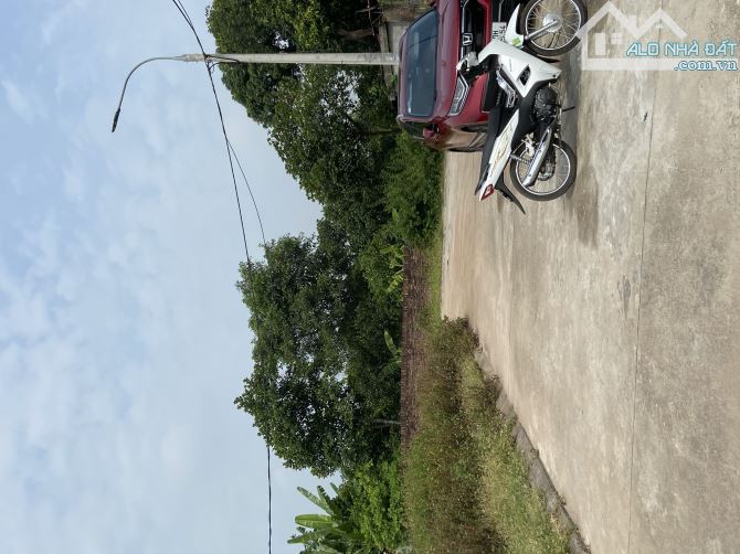 4259918 ảnh đại diện 1