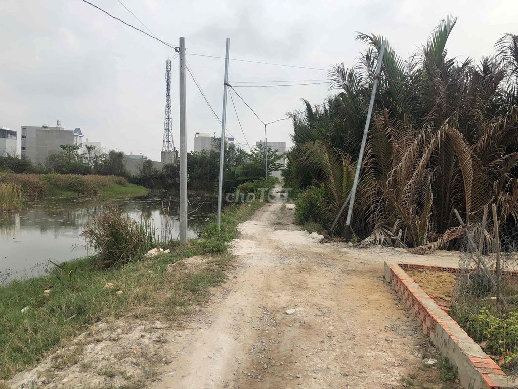 4260278 ảnh đại diện 1