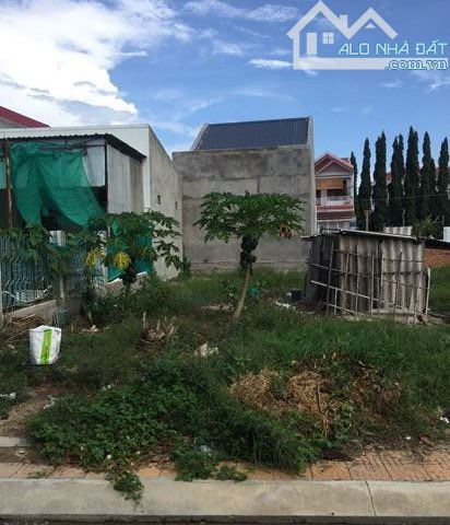 4259496 ảnh đại diện 1