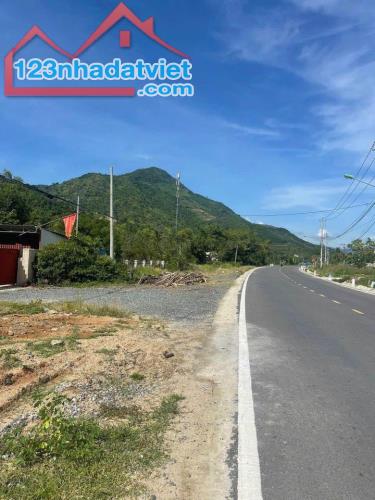 4258953 ảnh đại diện 1