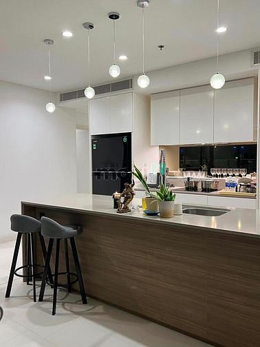 4260818 ảnh đại diện 1