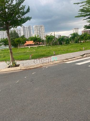 4259912 ảnh đại diện 1
