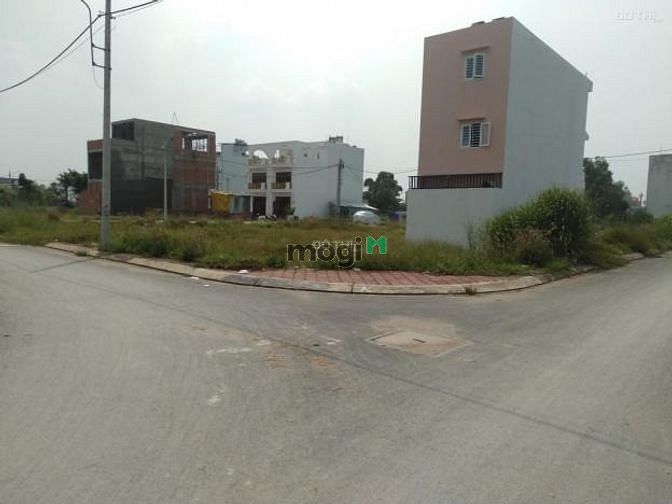 4261012 ảnh đại diện 1