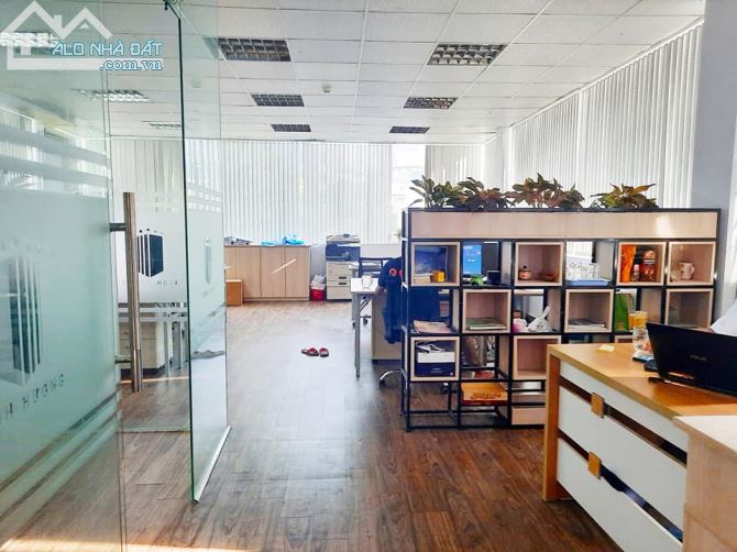 4258613 ảnh đại diện 2