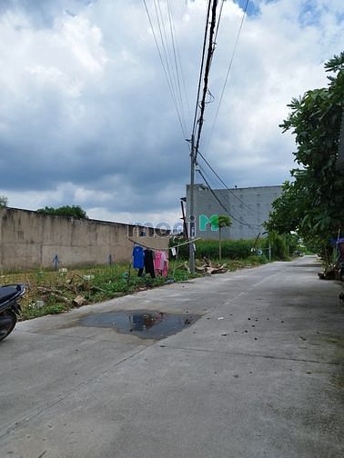 4259911 ảnh đại diện 1