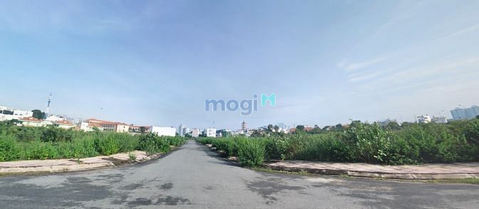 4259909 ảnh đại diện 1