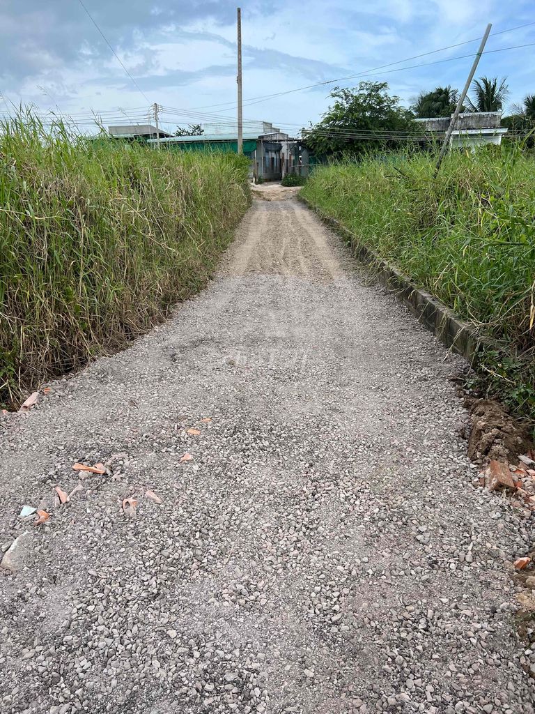4260278 ảnh đại diện 1