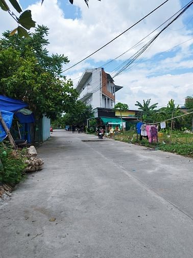 4259911 ảnh đại diện 1