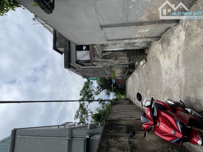 4259868 ảnh đại diện 2