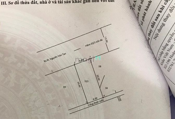 4259903 ảnh đại diện 1