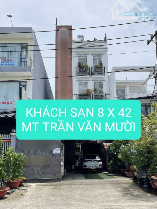 4259695 ảnh đại diện 1