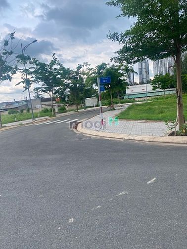 4259912 ảnh đại diện 1