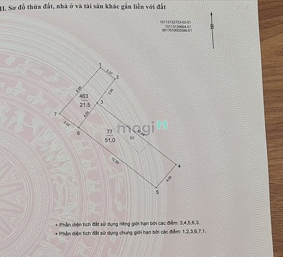 4259713 ảnh đại diện 2