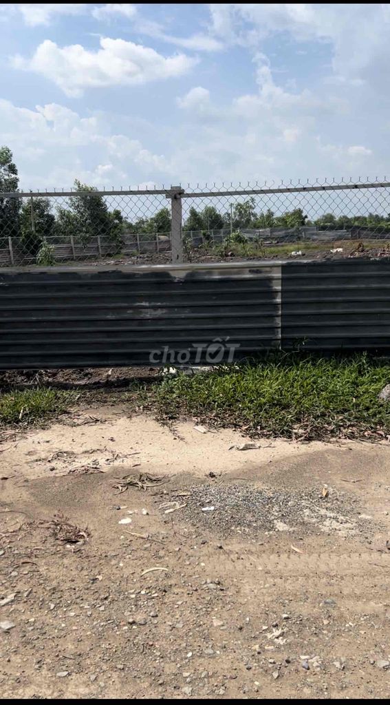 4259960 ảnh đại diện 2
