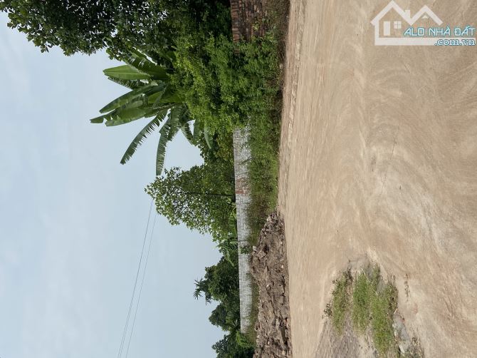 4259918 ảnh đại diện 2