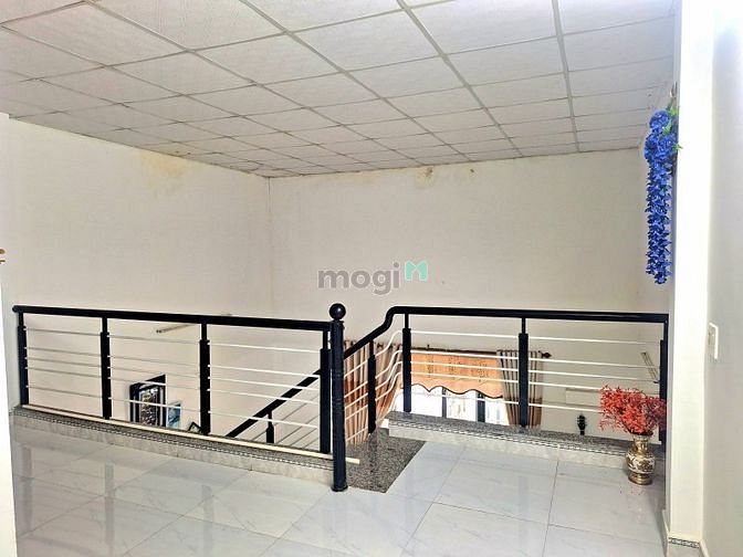 4260746 ảnh đại diện 1