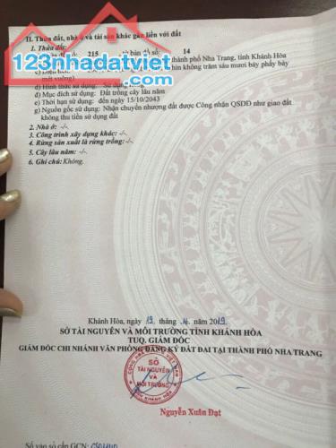 4258953 ảnh đại diện 2