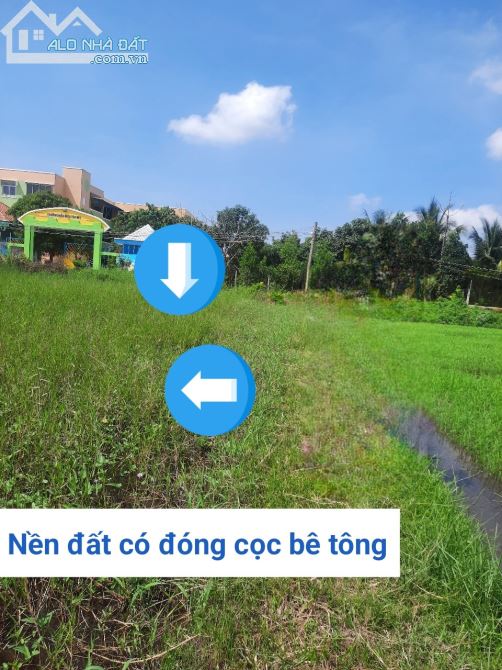 4259394 ảnh đại diện 2