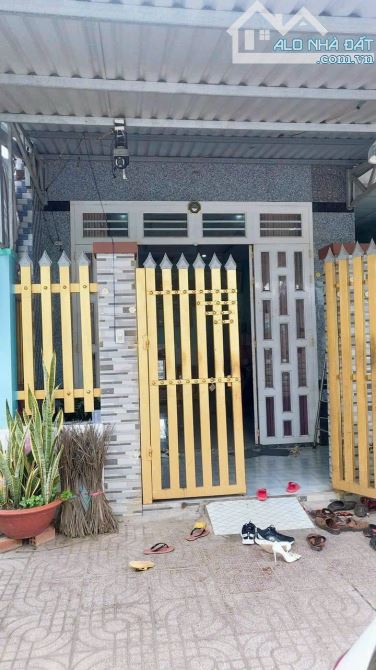 4258890 ảnh đại diện 1