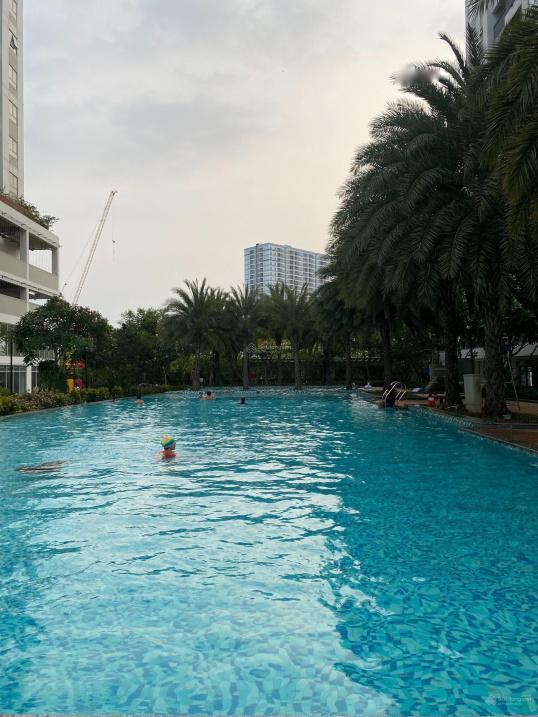 4261179 ảnh đại diện 1