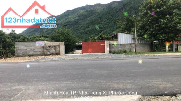 4258953 ảnh đại diện 1