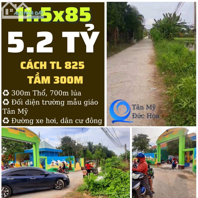 4259394 ảnh đại diện 1