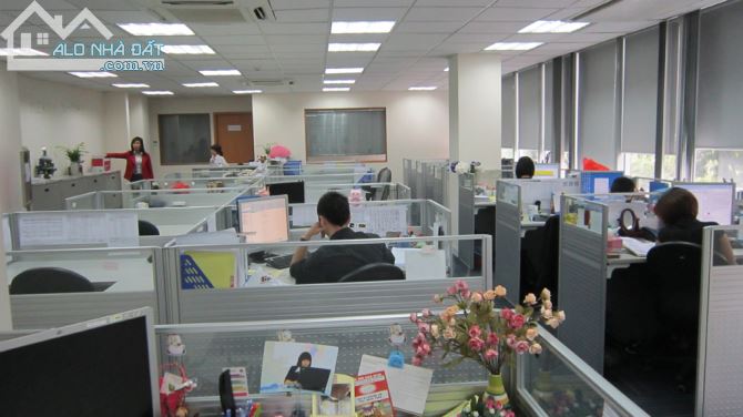 4258613 ảnh đại diện 1