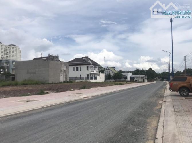 4259507 ảnh đại diện 1