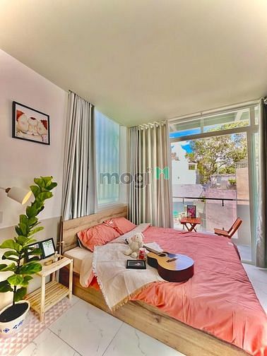 4259379 ảnh đại diện 1