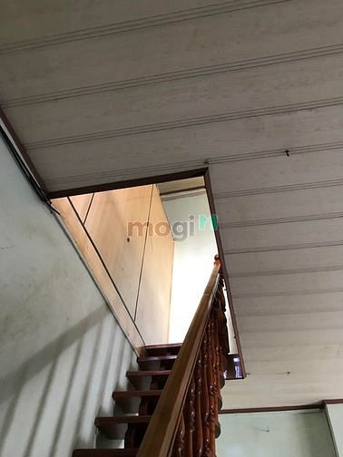 4258699 ảnh đại diện 2