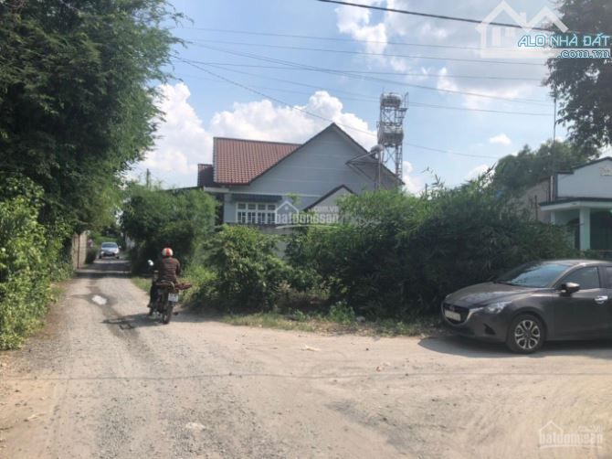 4259491 ảnh đại diện 1