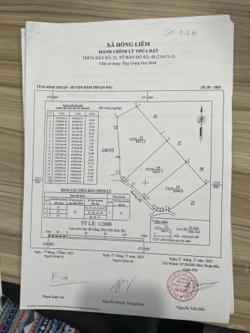 4262686 ảnh đại diện 2