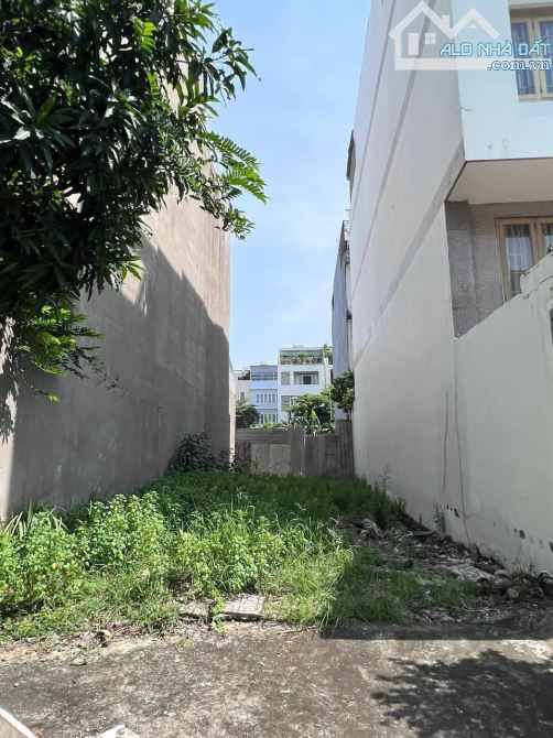 4262244 ảnh đại diện 1