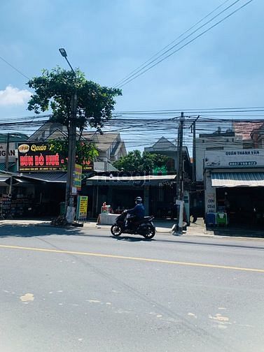 4264176 ảnh đại diện 1