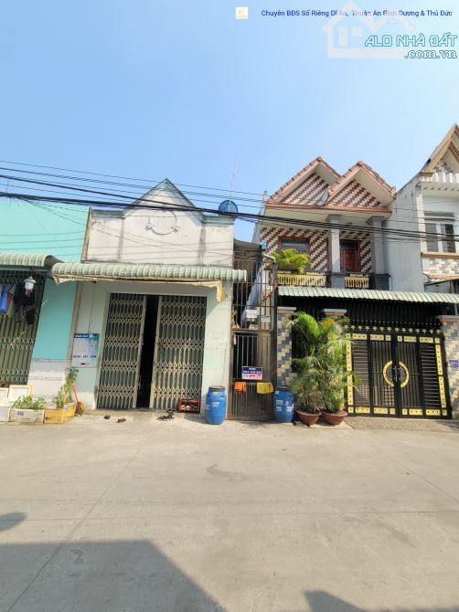 4263068 ảnh đại diện 1