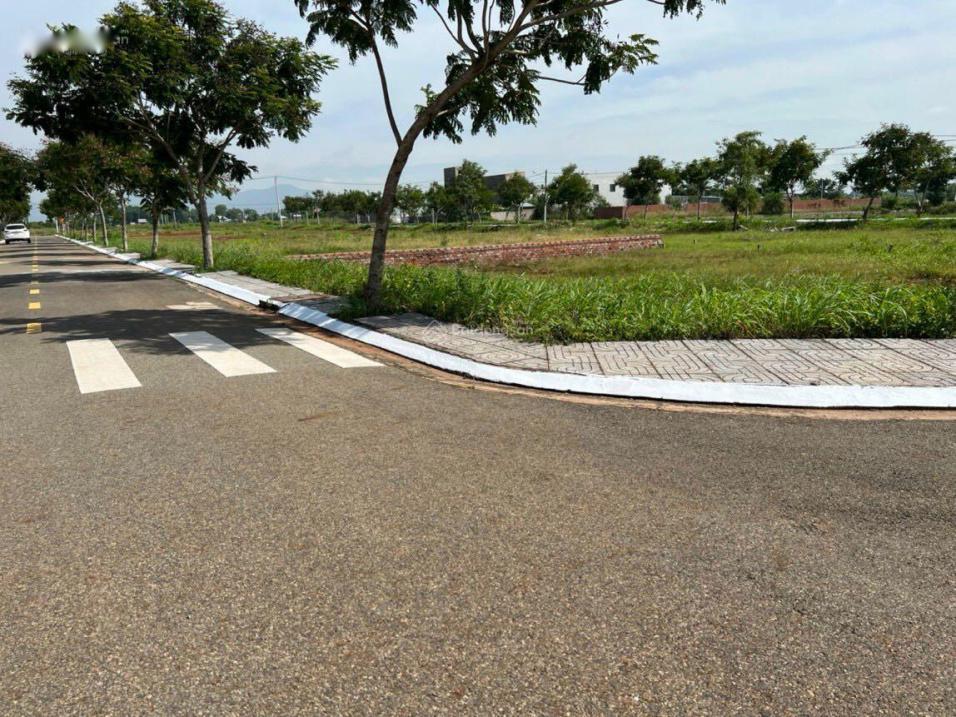 4262595 ảnh đại diện 1