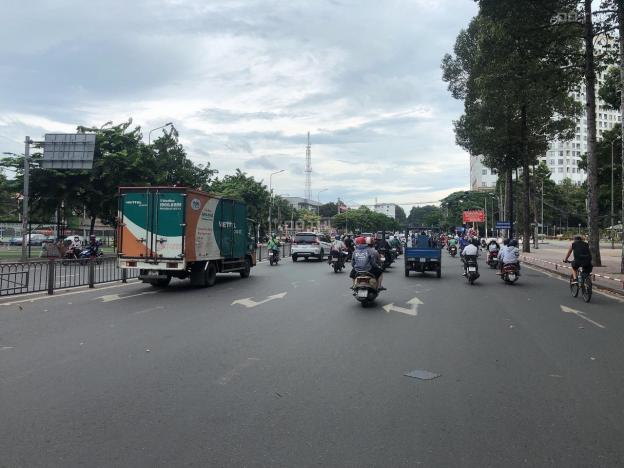 4263726 ảnh đại diện 1
