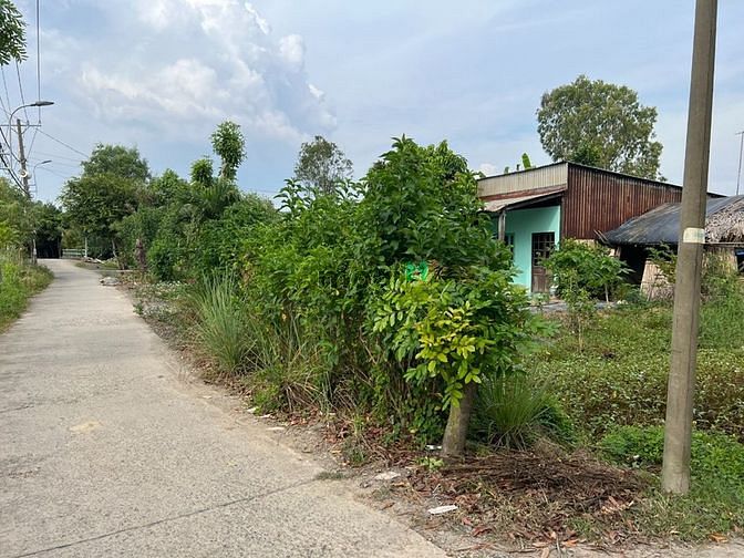 4263127 ảnh đại diện 1
