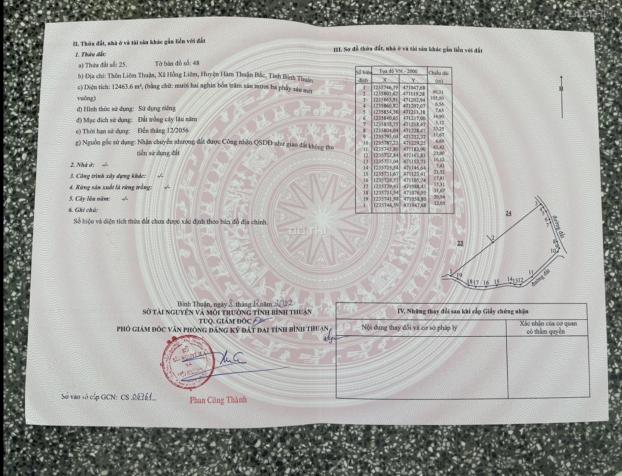 4262682 ảnh đại diện 2