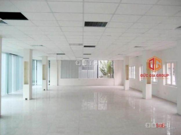 4262010 ảnh đại diện 1