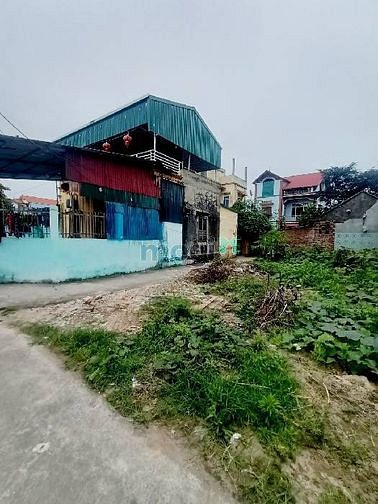 4262366 ảnh đại diện 1