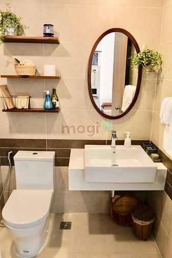 4261458 ảnh đại diện 2
