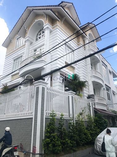 4263869 ảnh đại diện 1
