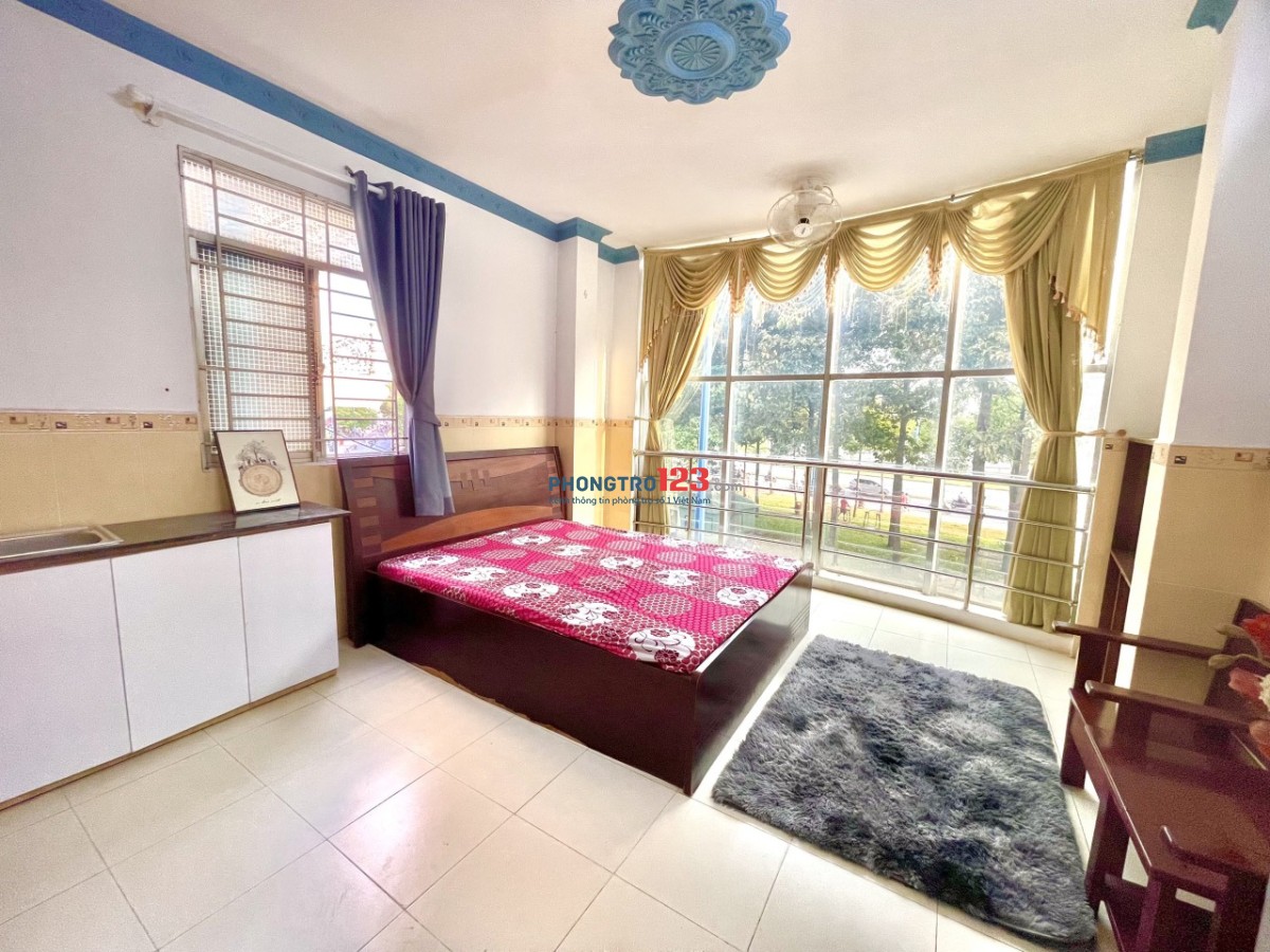 4262911 ảnh đại diện 1