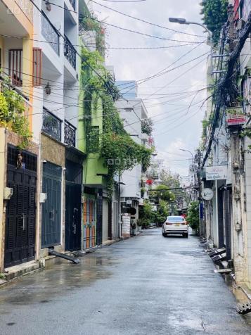 4263717 ảnh đại diện 1