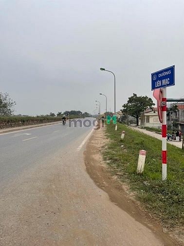 4263059 ảnh đại diện 1
