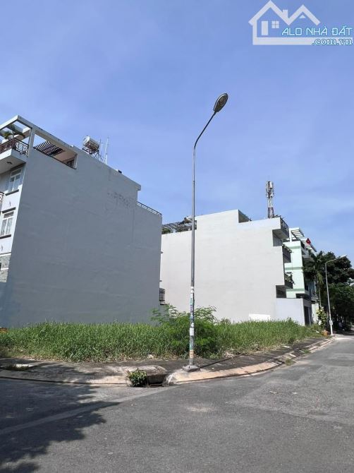 4262244 ảnh đại diện 2