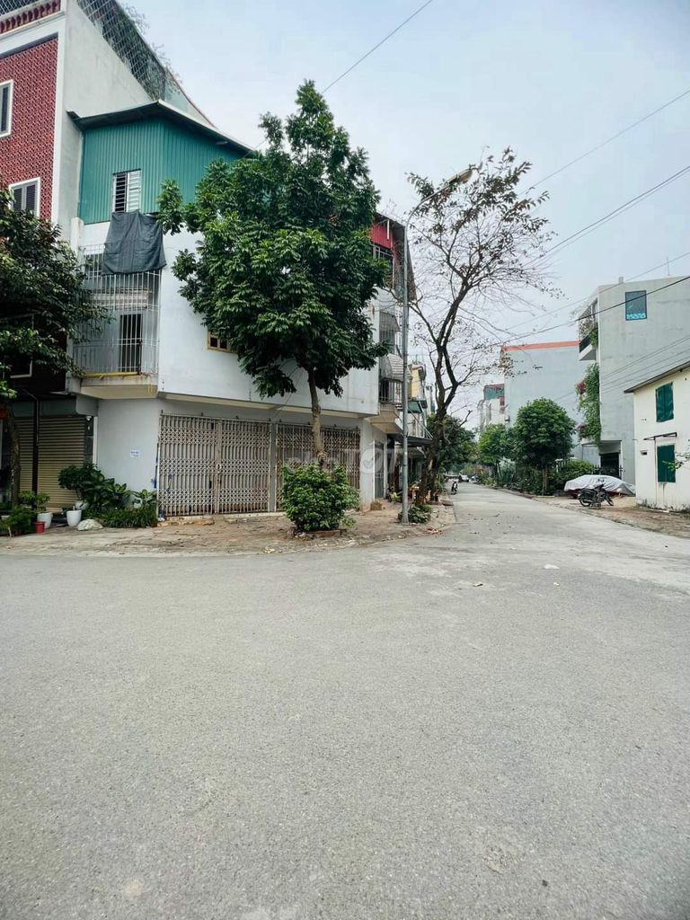 4264207 ảnh đại diện 1